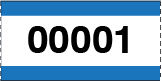 Large Print Numbered Single Roll Ticket Blue